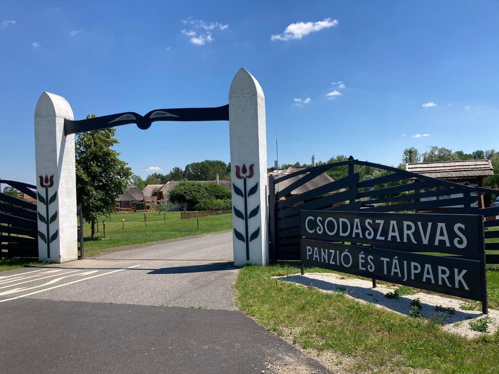 Csodaszarvas Vendeghazak Rabahidveg Exterior foto